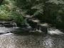 &nbsp;The fish pass