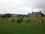 Display of farm implements at Chipping Display of farm implements at Chipping