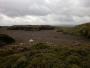 More peat scenery More peat scenery