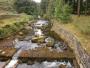 The Langden Brook The Langden Brook