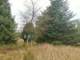 Through a short stretch of woodland Through a short stretch of woodland