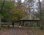  The bandstand in the woods