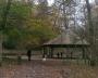 The bandstand in the woods The bandstand in the woods