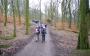 Heading up through Roddlesworth Woods Heading up through Roddlesworth Woods
