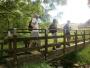  Footbridge at Burholme Farm