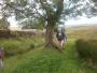 &nbsp;Kenneth leads the way