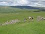  Ascent of Great Whernside