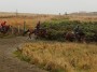 Crossing_the_gallops Crossing_the_gallops
