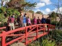 Japanese_Gardens