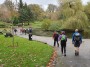 A_walk_in_the_park A_walk_in_the_park