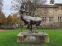 The_Stag