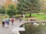 The_trees_say_autumn