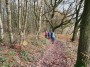 Black_Carr_Woods Black_Carr_Woods
