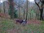 Lucy Enjoys Johnny Woods, Borrowdale Lucy Enjoys Johnny Woods, Borrowdale