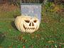 What a pumpkin, left over from Halloween or specially here to greet us? What a pumpkin, left over from Halloween or specially here to greet us?