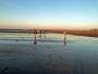 Rosy Glow on the Beach for us All Rosy Glow on the Beach for us All