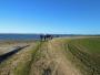 Along the Coast South of Glasson Dock Along the Coast South of Glasson Dock