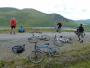 The thing with cycling in...... is you have to cycle out! The thing with cycling in...... is you have to cycle out!