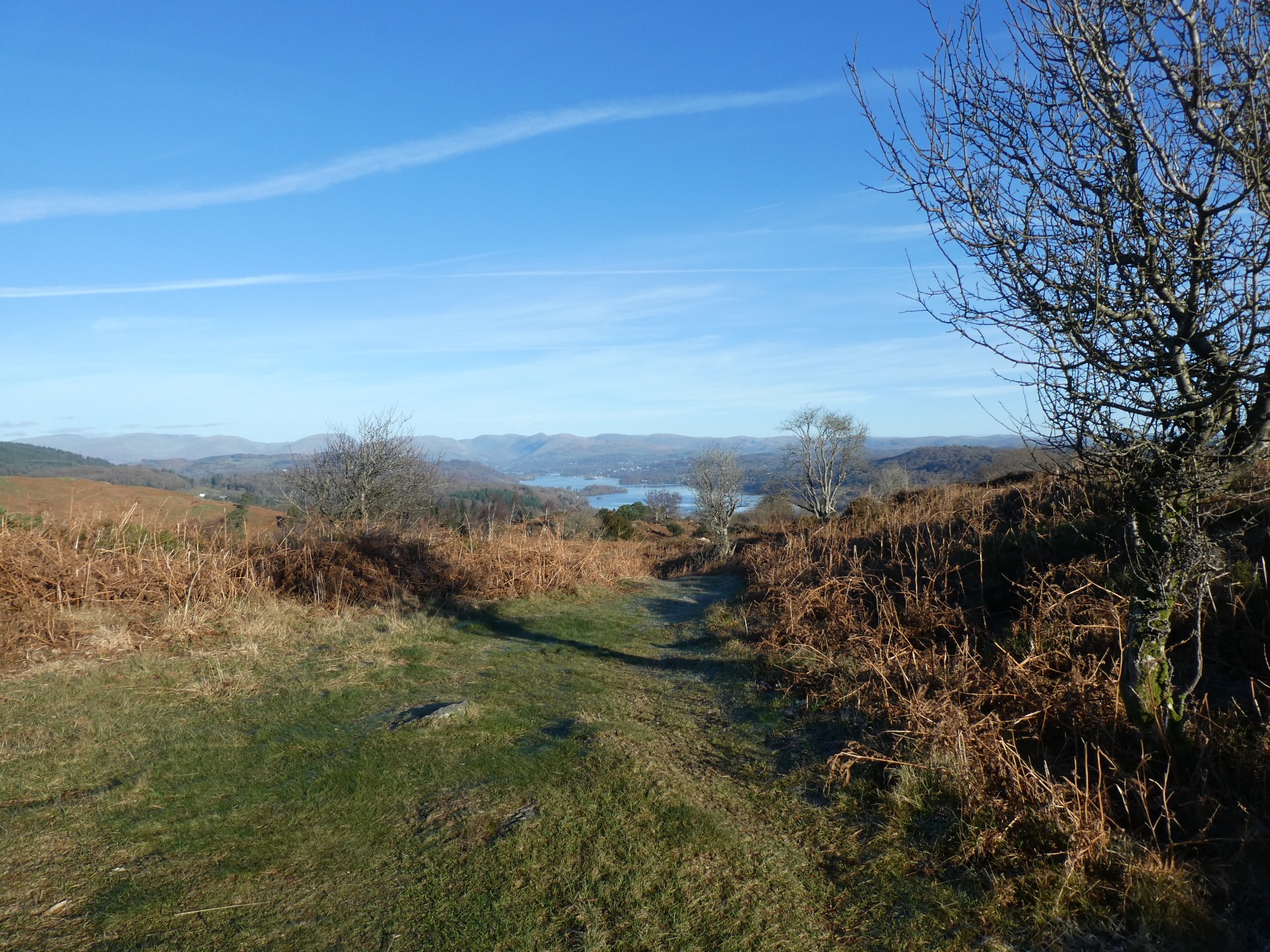 Windermere from Stott Park Heights