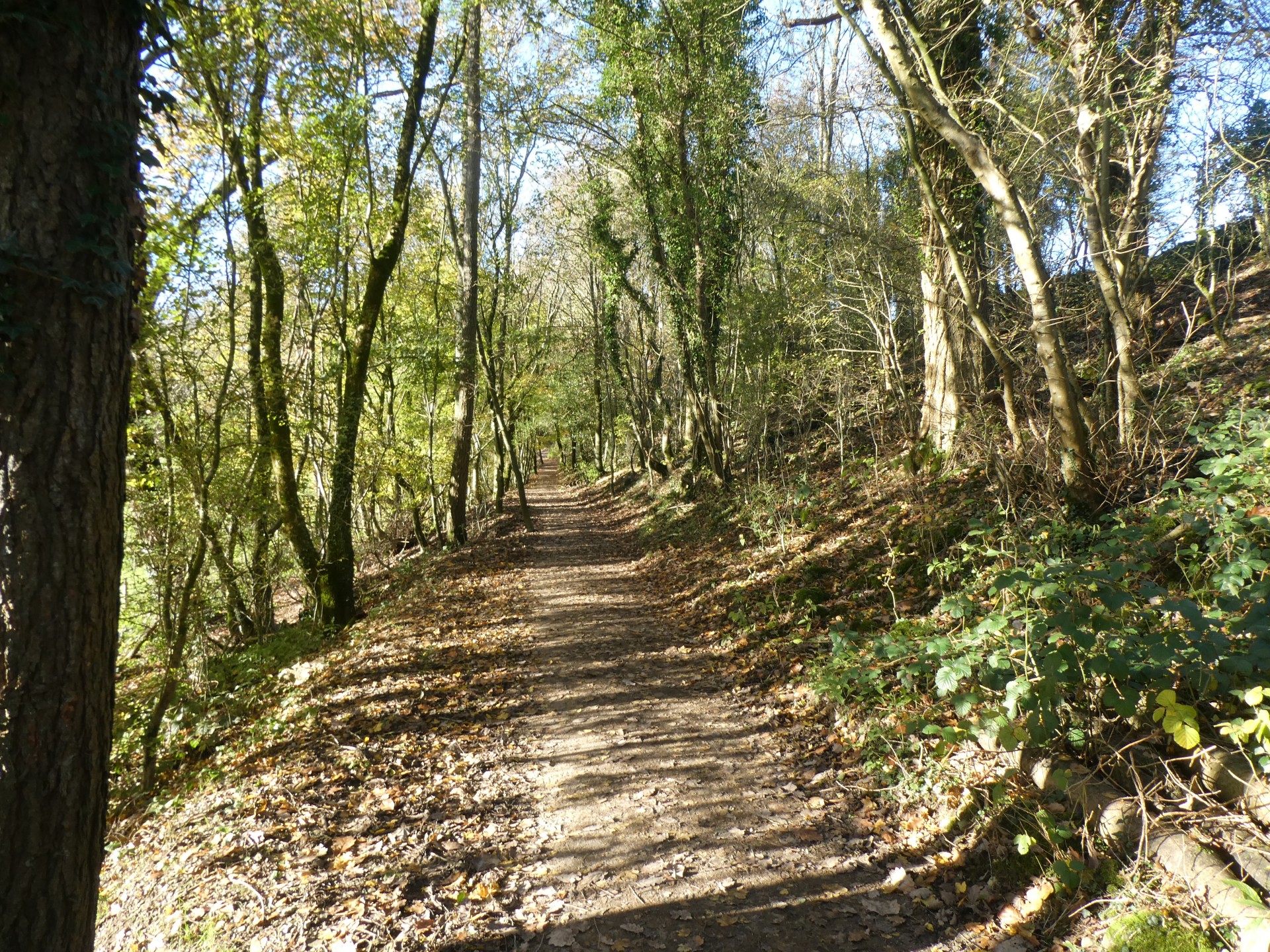 Splendid new paths near Sizergh Castle