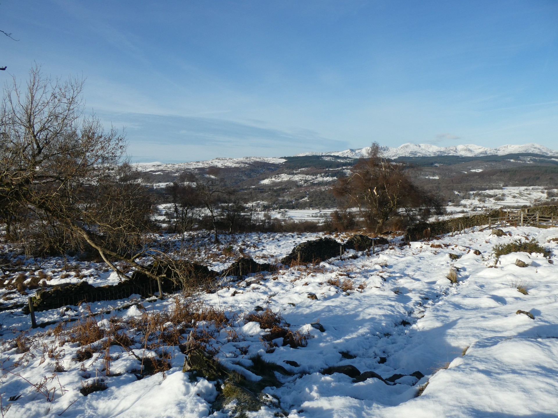 View to Snowy Coniston Fells