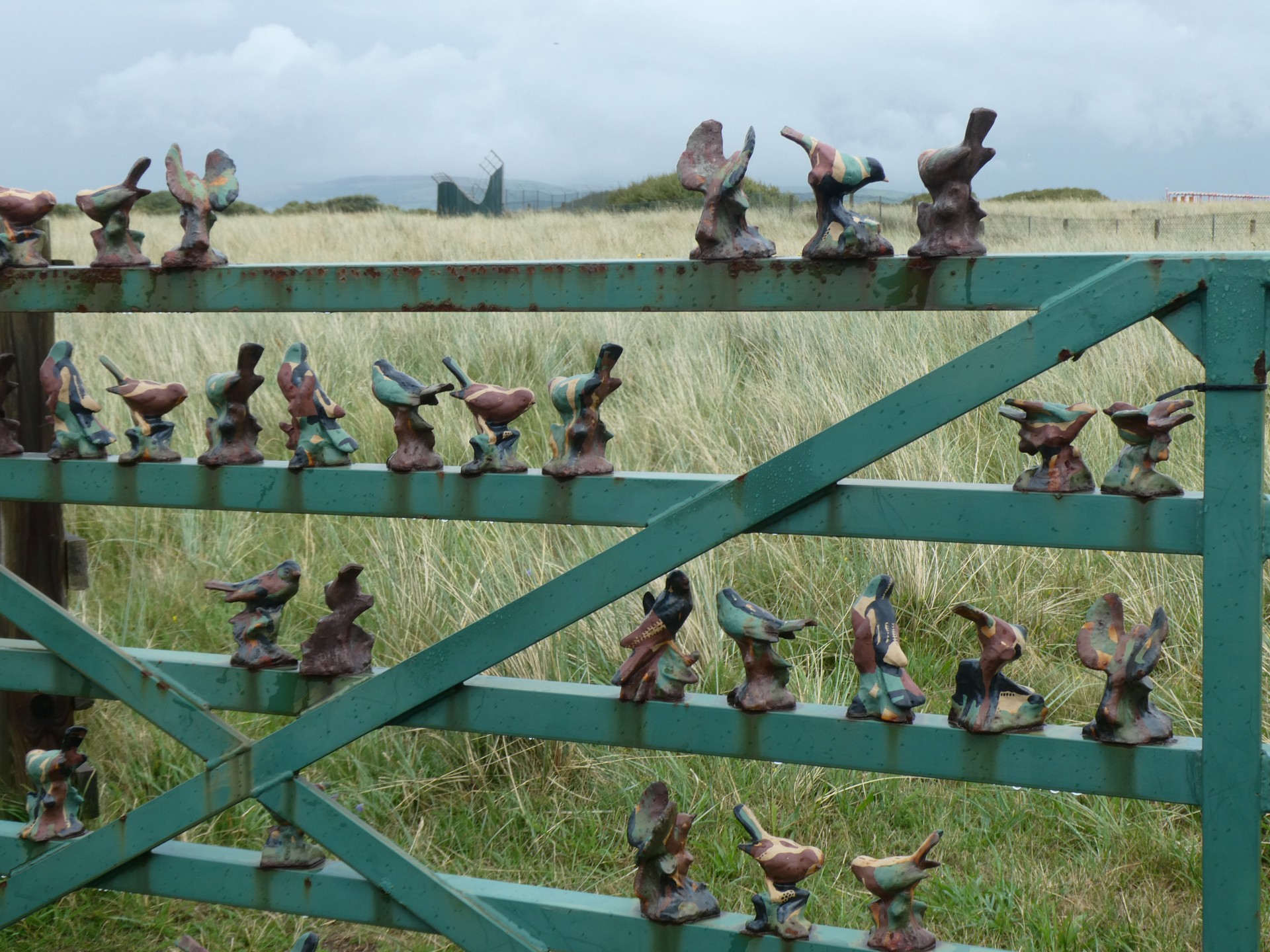 Camouflaged birds on a gate