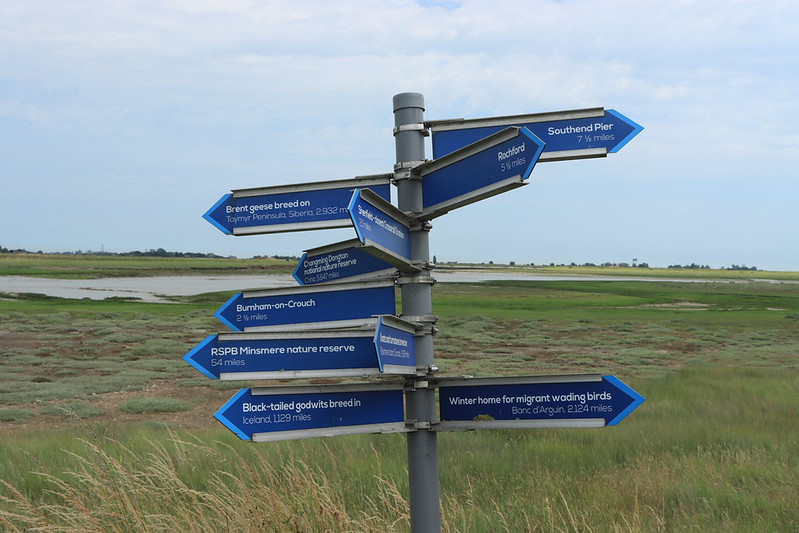 Wallasea Island