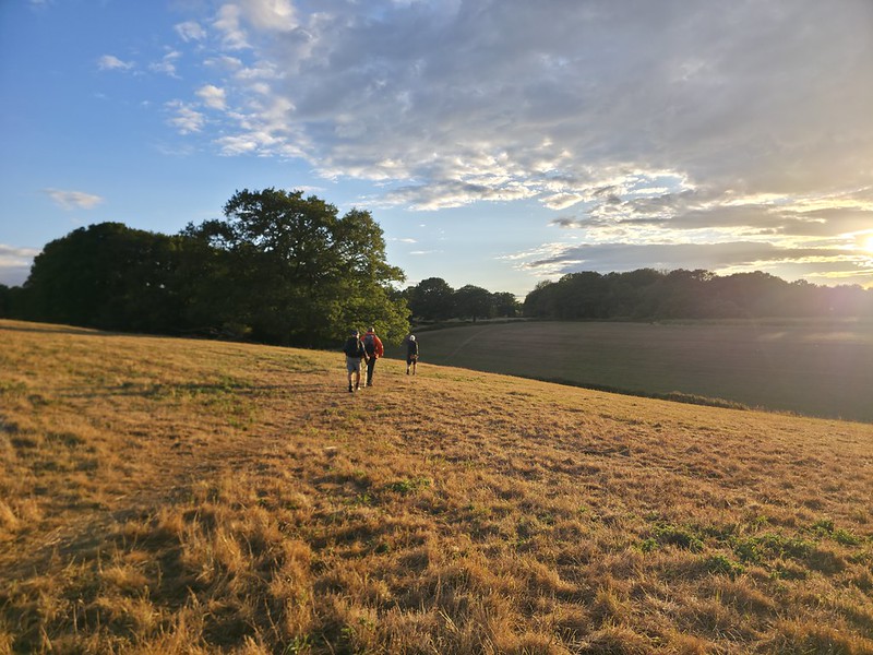 Descending from Chelsham Court