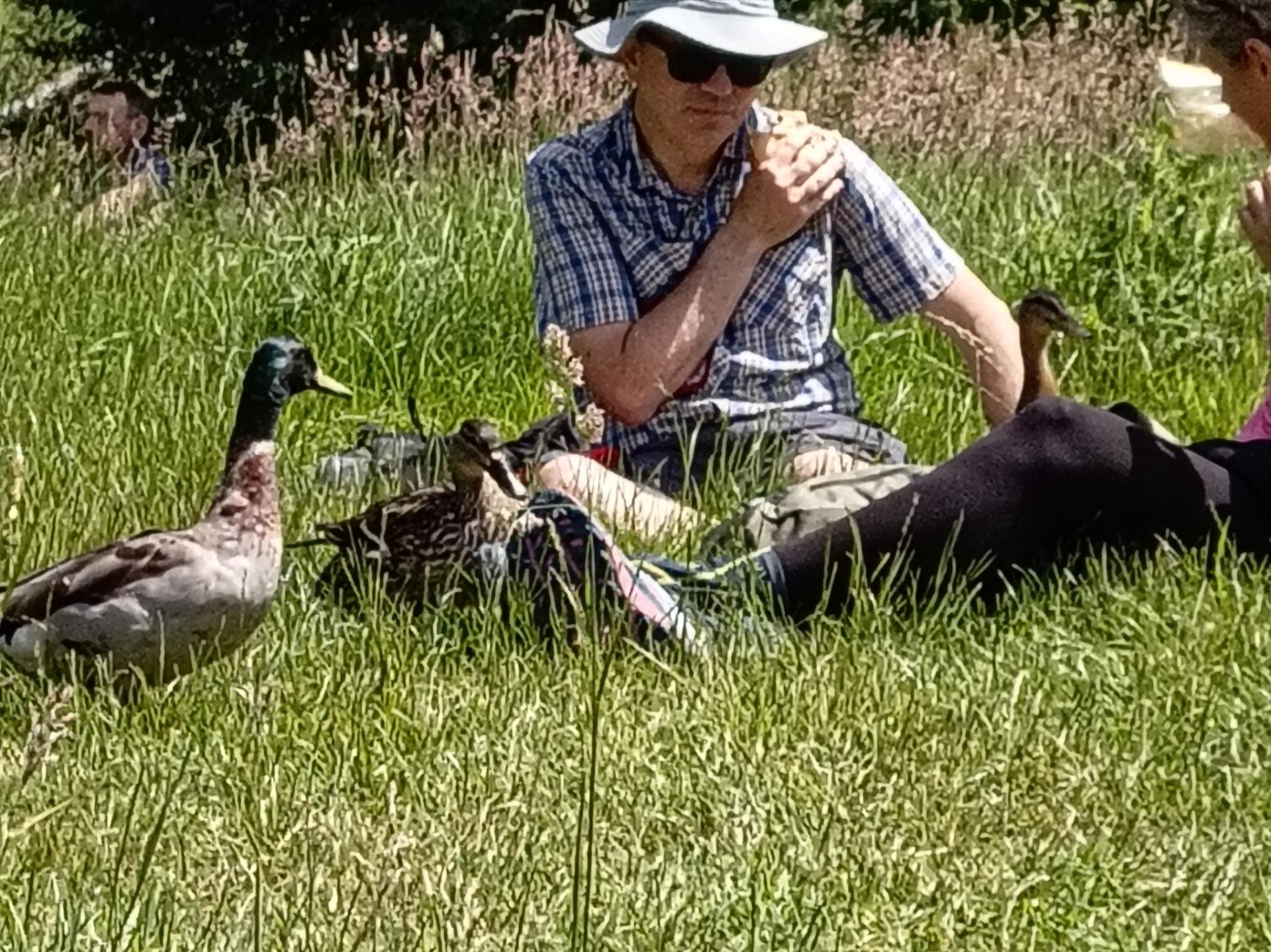 Lunch by the Thames