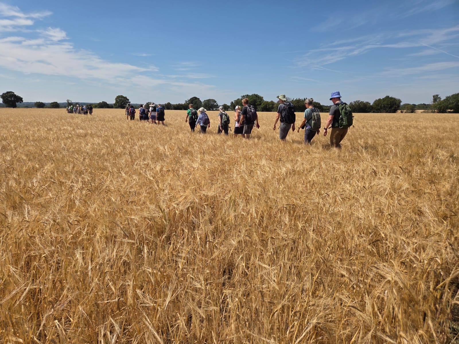Typical Essex Countryside