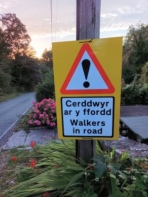 walkers in road