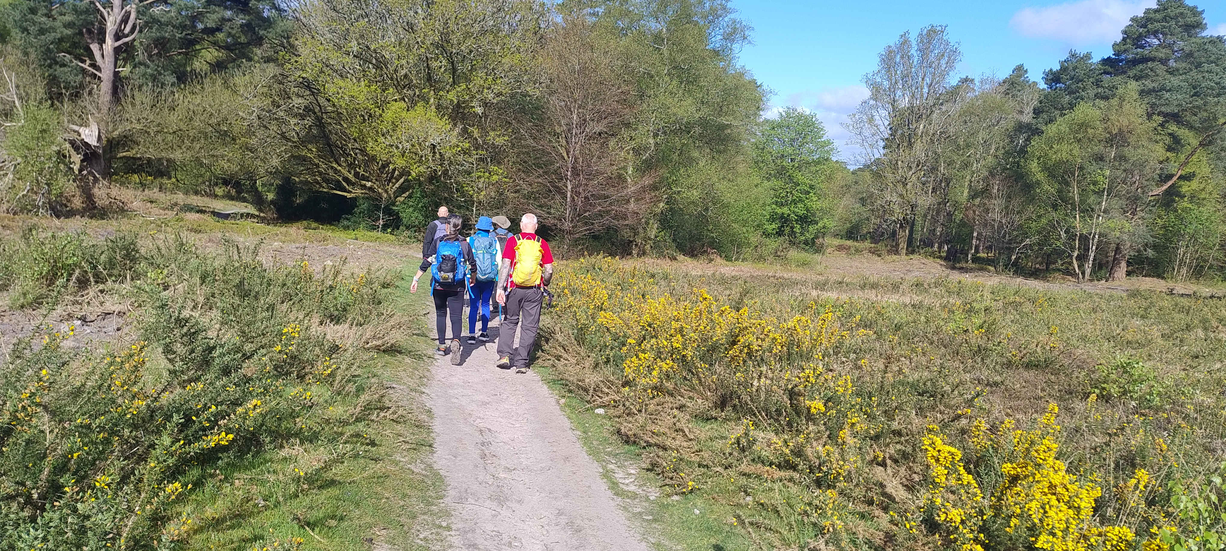 Bramshott Common