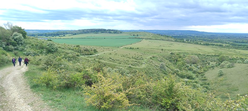 Steps Hill