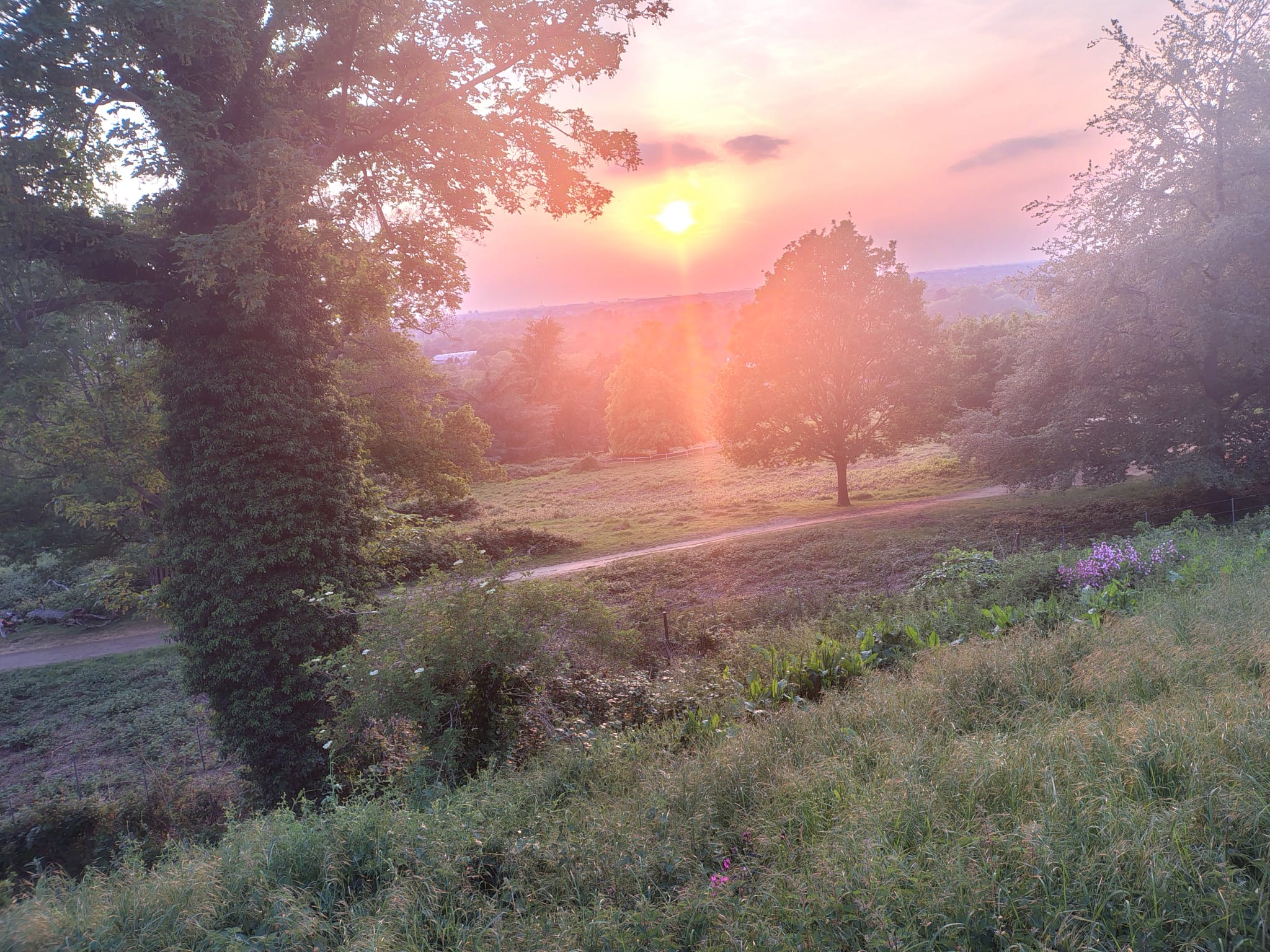 Sunset near Pembroke Lodge